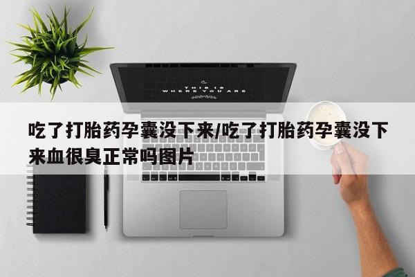 药流药网上购买吃了打胎药孕囊没下来/吃了打胎药孕囊没下来血很臭正常吗图片