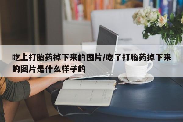 药流药网上购买吃上打胎药掉下来的图片/吃了打胎药掉下来的图片是什么样子的